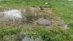 На Московском проспекте в Калининграде образовался новый фонтан — очевидцы (видео)  