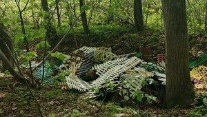 В Цветково неизвестные разнесли стихийное кладбище домашних животных (фото)