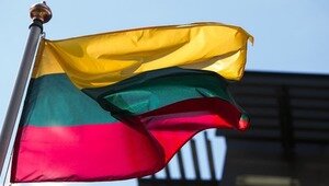 В Литве нашли обломки военного дрона, который мог принадлежать Украине