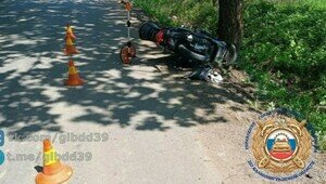 В Гусевском районе скутерист влетел в дерево, мужчина в больнице