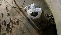 В Гвардейске неизвестные вывели из строя главный фонтан, набросав туда камней (фото)