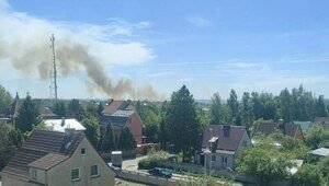 Клубы дыма видны за несколько километров: на окраине Калининграда полыхает камыш (видео)  