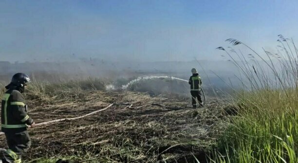 В Калининграде пожарные на лодках добрались до горящего камыша у окружной (фото, видео)