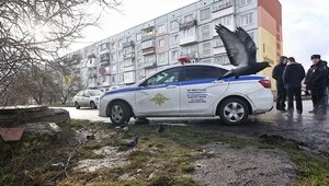 В Черняховске пошли под суд бывшие сотрудницы ПДН, допустившие убийство семилетнего мальчика  