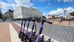 В Калининграде часть газонов не будут косить до осени, а для самокатов ввели ограничения