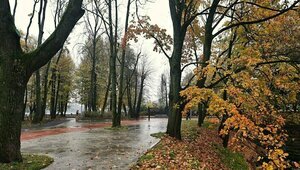Амфитеатр с прекрасным видом в центре Калининграда появится позже запланированного