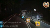 В Гурьевском районе легковушка сбила животное, а после влетела в другое авто