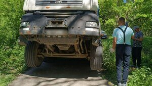 Дороги не будет, но мост починить можно: власти объяснили, почему к СНТ в Светловском округе нет проезда