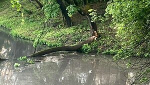 Власти объяснили, почему жемчужина Московского проспекта покрылась грязью и внезапно завоняла