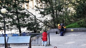 Теперь только после согласования: в Калининграде официально определили 8 точек для уличных музыкантов 